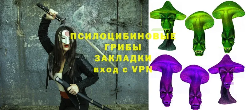 Галлюциногенные грибы Psilocybe  мега ONION  Скопин 